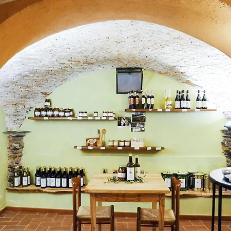 Primula - Vlo206 By Interhome *