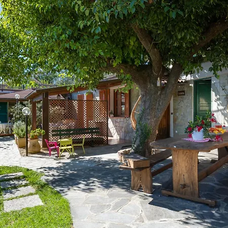 Primula - Vlo206 By Interhome Appartement Lecchiore