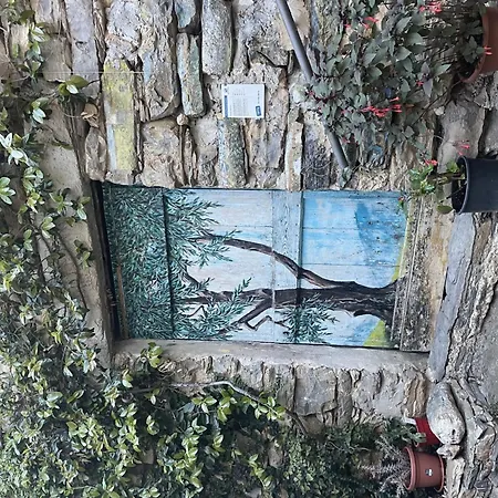 Lägenhet Primula - Vlo206 By Interhome