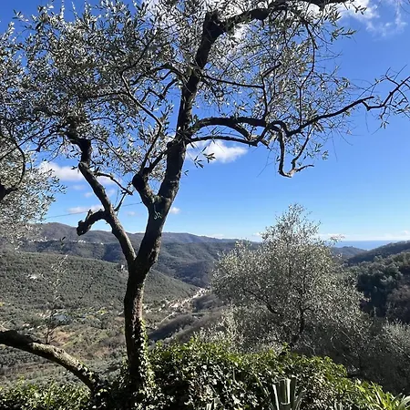 Lägenhet Primula - Vlo206 By Interhome *