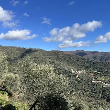 Primula - Vlo206 By Interhome Lecchiore