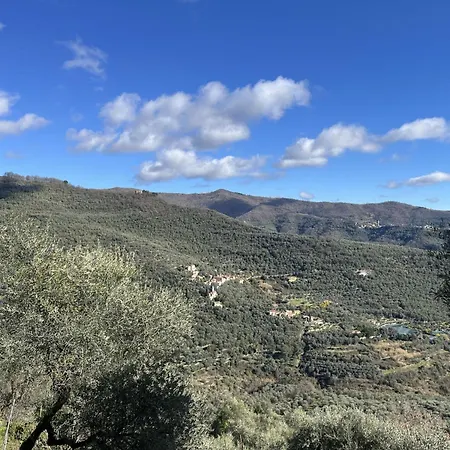 Primula - Vlo206 By Interhome * Lecchiore