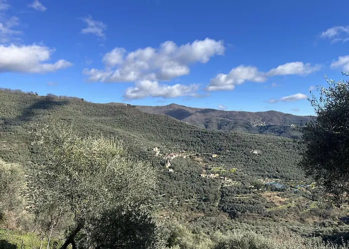 Primula - Vlo206 By Interhome * Lecchiore